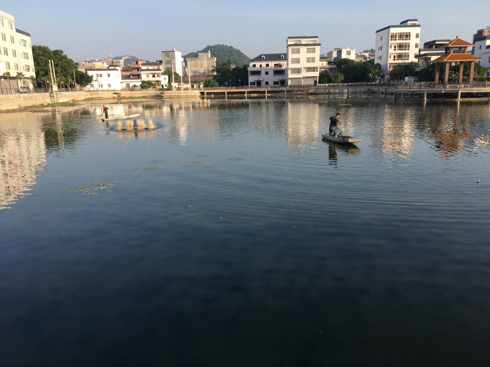 生态调整前期现场情况